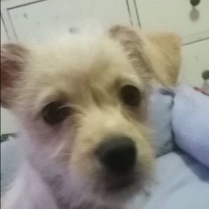 Meet your Posher, Mia